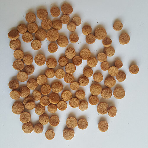 dog food extrusion process