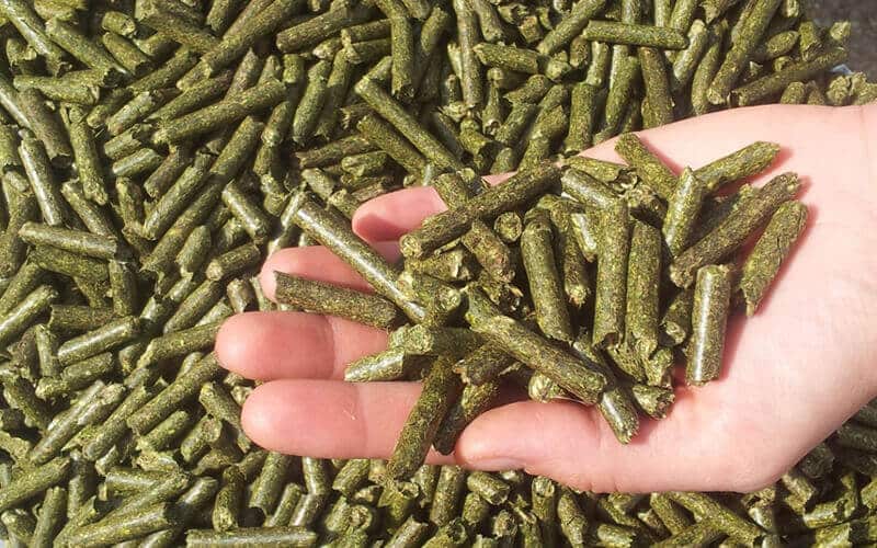 grass pellet making machine for sale