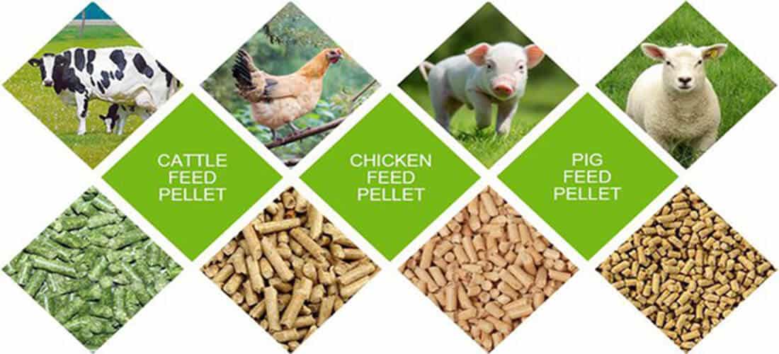 commercial pellet mill manufacturer