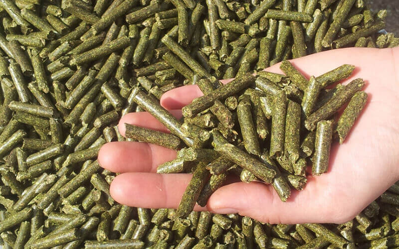 how to make rabbit feed in nigeria