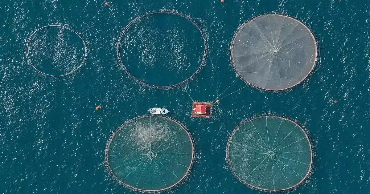 how to start fish farming business plan