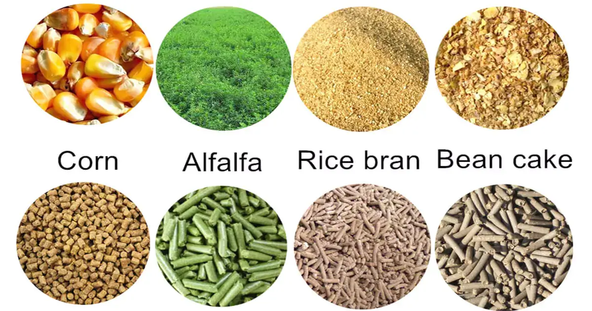 pig feed formulation