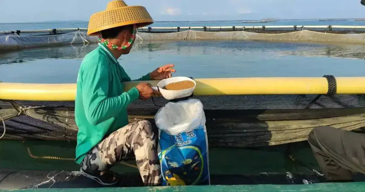 5 things to keep fish in summer