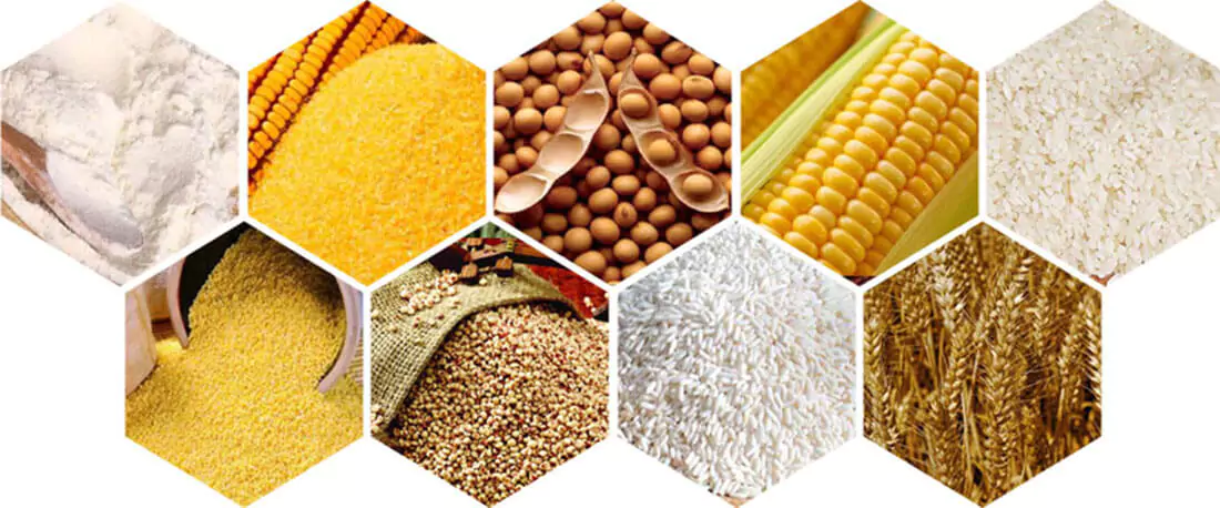 what are the main ingredients in horse feed