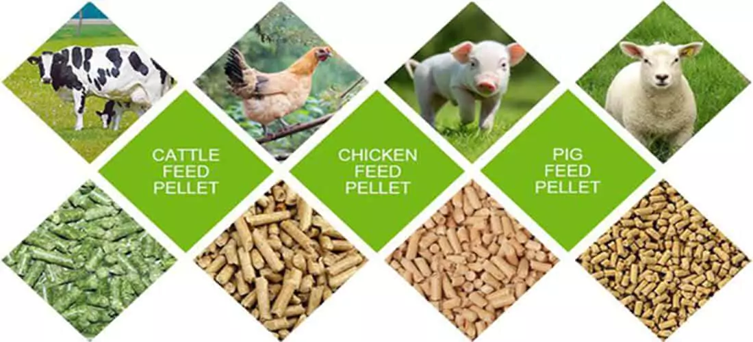Home pellet production system