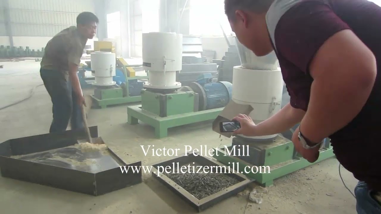 wood pellet mill machine for sale with low price making sawdust into pellets