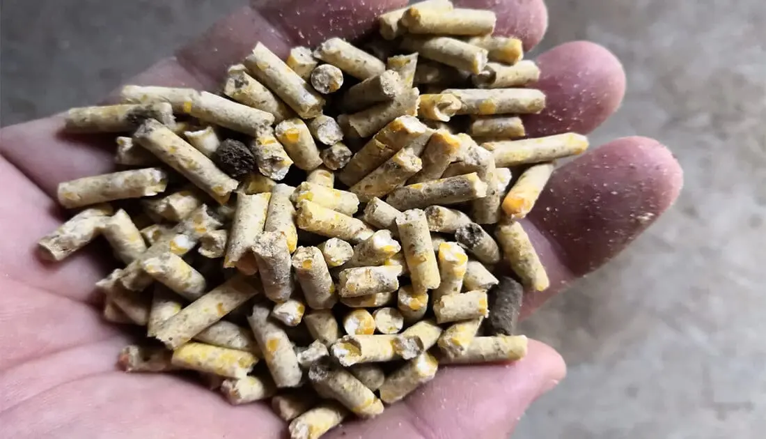 Difference between floating and sinking fish feed