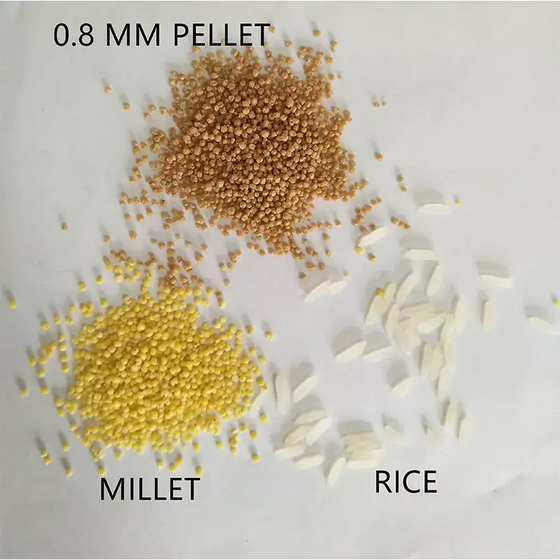 produced by fish feed pelletizer