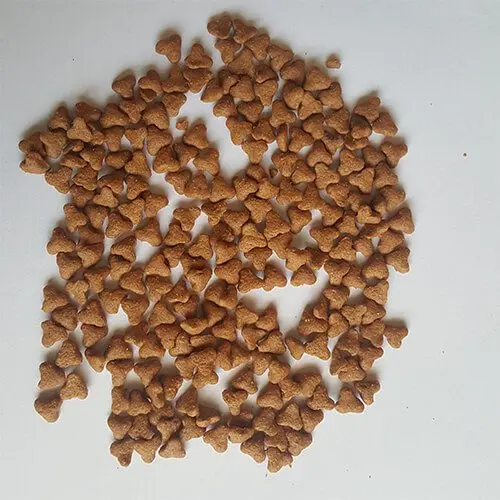 dog food manufacturing process