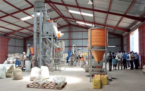 animal feed business plan