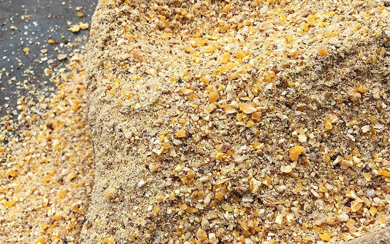 layer feed ingredients