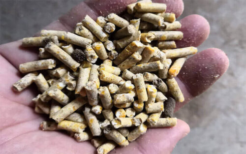 pelleted feed vs extruded feed