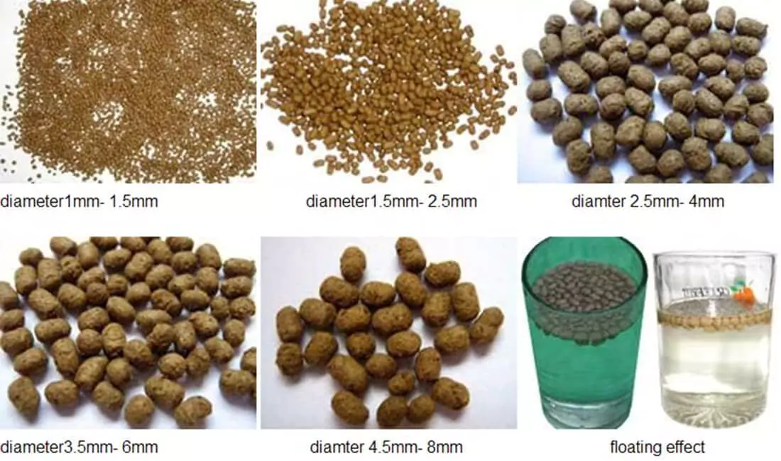 fish feed manufacturing process