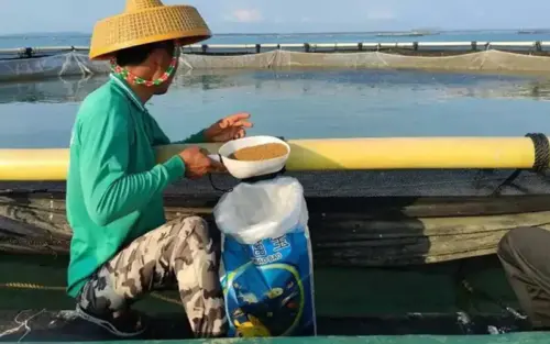 how to start fish farming business