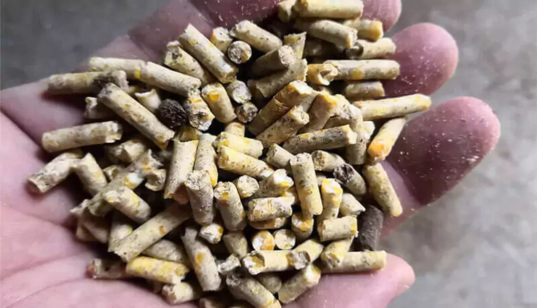 sinking fish feed production process