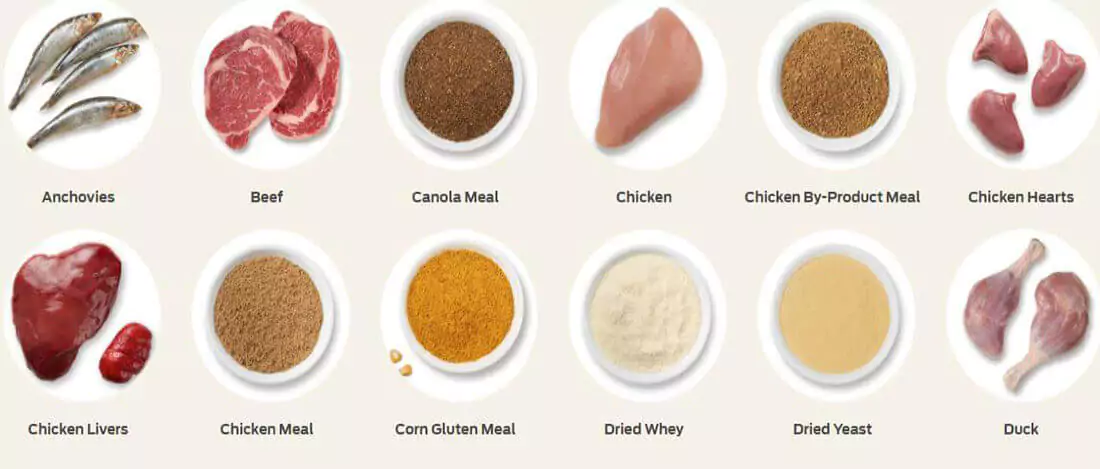 pet food formulation